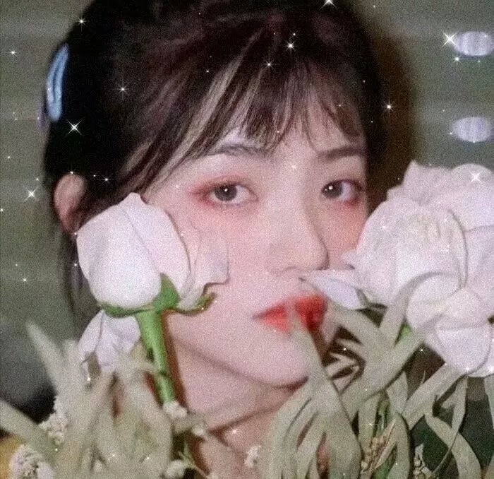 杂种